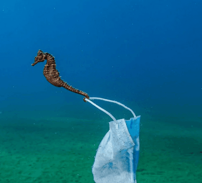 2021 Okyanus Fotoğrafları Yarışması'nın kazananları belli oldu - 9