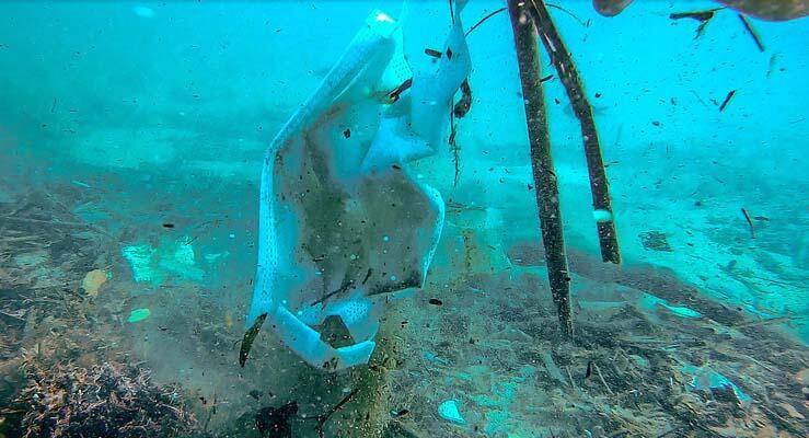 Deniz tabanı maske ve eldiven dolu - 4