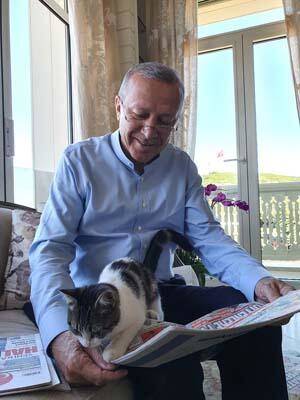 Cumhurbaşkanı Erdoğan kucağında torununun kedisi gazete okudu - 3
