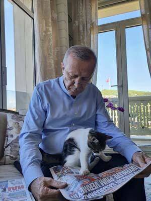 Cumhurbaşkanı Erdoğan kucağında torununun kedisi gazete okudu - 2