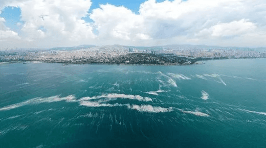 Marmara'dan sonra Karadeniz de ölüyor - 2