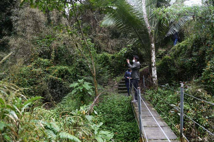Kolombiya'nın kahve bölgesi Manizales'in doğası ziyaretçilerini cezbediyor - 3