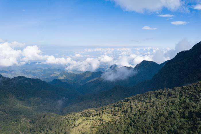 Kolombiya'nın kahve bölgesi Manizales'in doğası ziyaretçilerini cezbediyor - 2