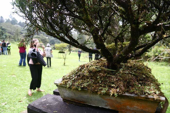 Kolombiya'nın kahve bölgesi Manizales'in doğası ziyaretçilerini cezbediyor - 6