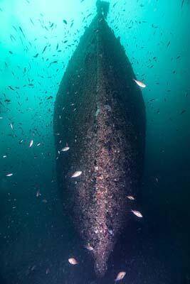 Gelibolu Tarihi Sualtı Parkı dalış turizmine açılıyor - 5