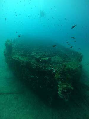 Gelibolu Tarihi Sualtı Parkı dalış turizmine açılıyor - 7