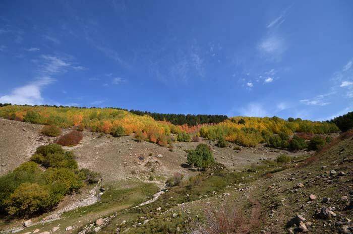 Soğanlı Dağları sonbaharın renklerine büründü - 5
