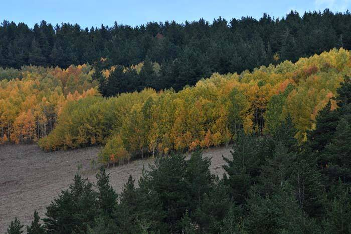 Soğanlı Dağları sonbaharın renklerine büründü - 7