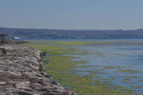 İzmir'de deniz yeşile büründü - 9