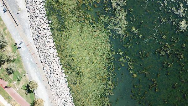 İzmir'de deniz yeşile büründü - 6
