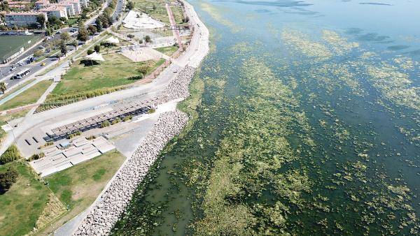 İzmir'de deniz yeşile büründü - 1