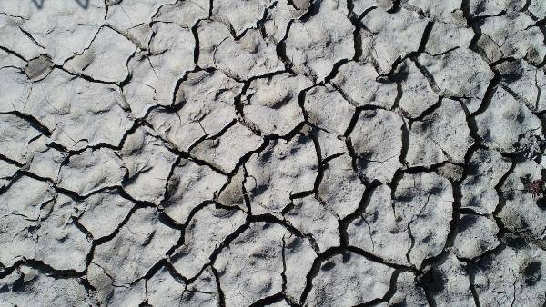 Karacalar Barajı'nın suyu 300 metre çekildi, zemin tarım arazisine dönüştü - 5