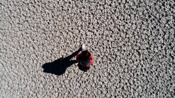 Karacalar Barajı'nın suyu 300 metre çekildi, zemin tarım arazisine dönüştü - 7