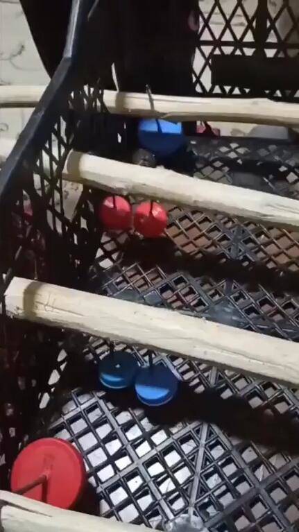 Çocuklar için meyve kasasından langırt yaptı - 4