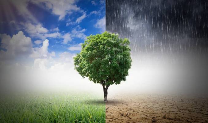 İklim krizi: Beş temel soru, beş basit cevap - 10