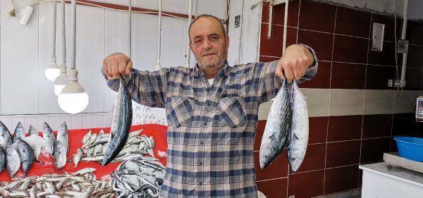 ‘Palamut nesli tehlikede; avlanma boyu 39 santimetre olsun' - 5