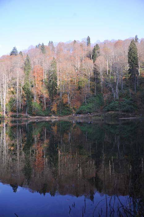 Doğa harikası Borçka Karagöl ziyaretçilerini sonbahar renkleriyle ağırlıyor - 9