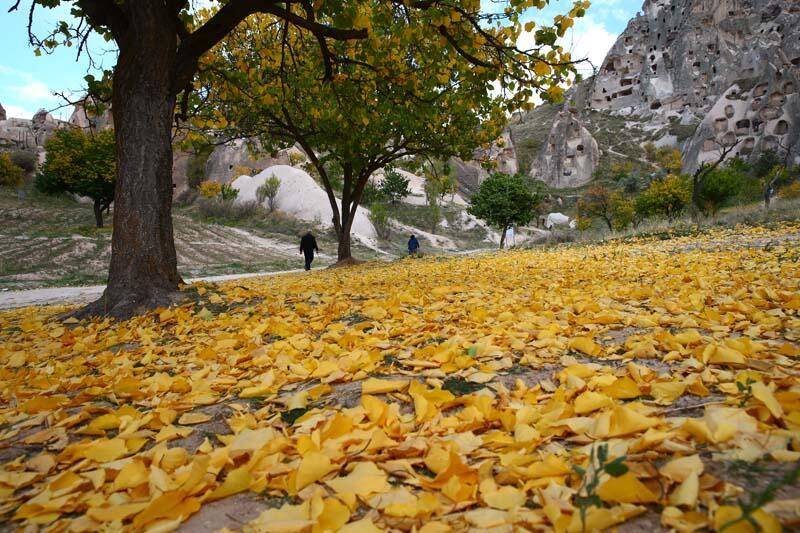Kapadokya sonbahar renklerine büründü - 1