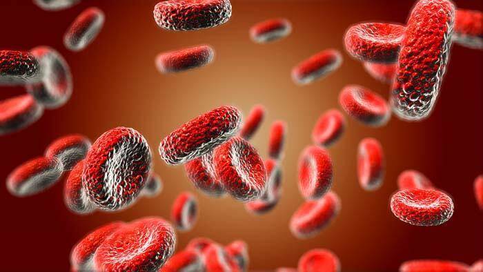 Kansızlığın 5 önemli nedeni ve vücuttaki 5 kritik belirtisi! - 5