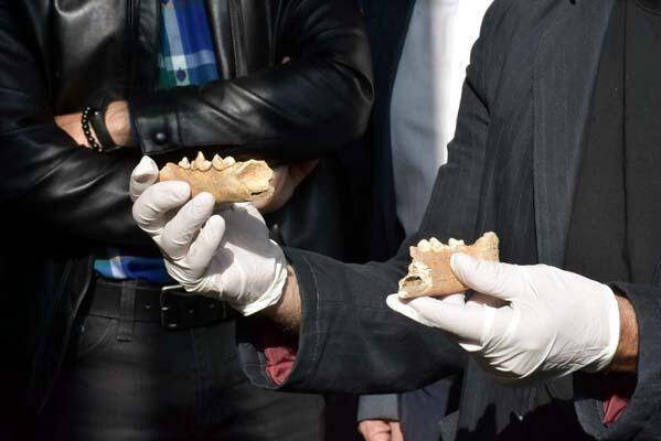 Antik yerleşimde tarihi buluş! 5 bin yıl önce İzmir'de yaşamış... - 4