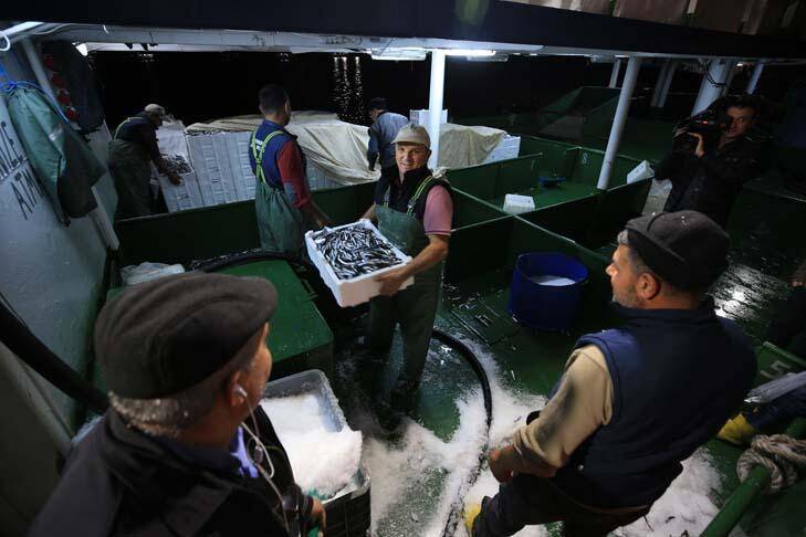 Karadeniz'de hamsi bereketi yaşanıyor - 6