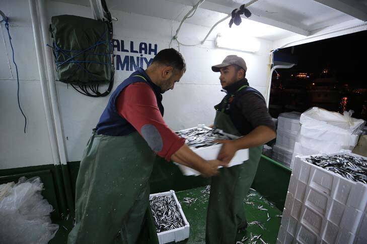 Karadeniz'de hamsi bereketi yaşanıyor - 8