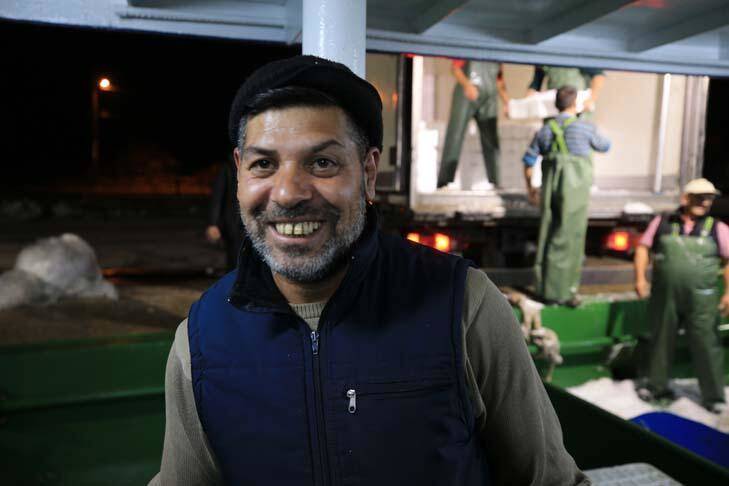 Karadeniz'de hamsi bereketi yaşanıyor - 9