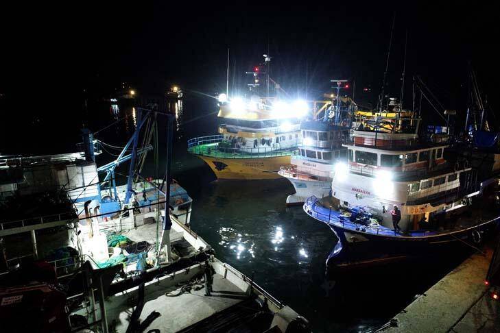 Karadeniz'de hamsi bereketi yaşanıyor - 3