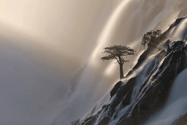 Avrupa'nın en iyi vahşi yaşam fotoğrafları seçildi - 1