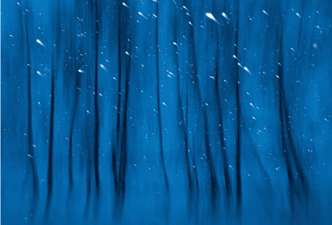 Avrupa'nın en iyi vahşi yaşam fotoğrafları seçildi - 12