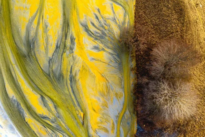 Avrupa'nın en iyi vahşi yaşam fotoğrafları seçildi - 13