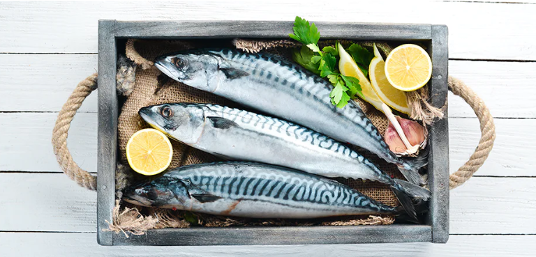 Hangi Balık Hangi Ayda Yenir? - 12