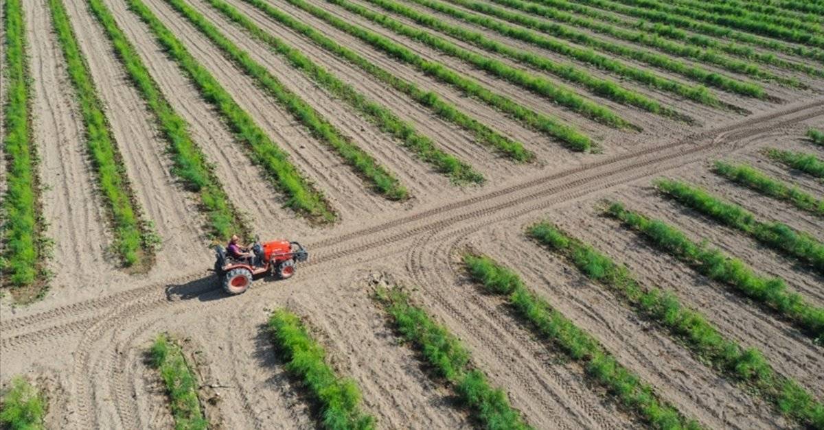 Çiftçiye nefes aldıracak destekler - 2