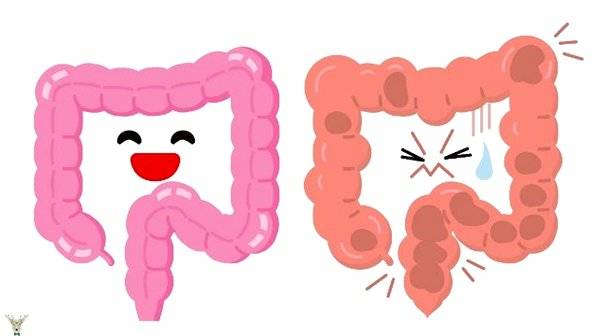 Bağırsak Temizliği: 6 Doğal Detoks Tarifi - 2