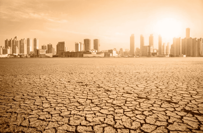 Elon Musk'tan felaket yorumu: Dünya, 6. kitlesel yok oluşun içinde - 7