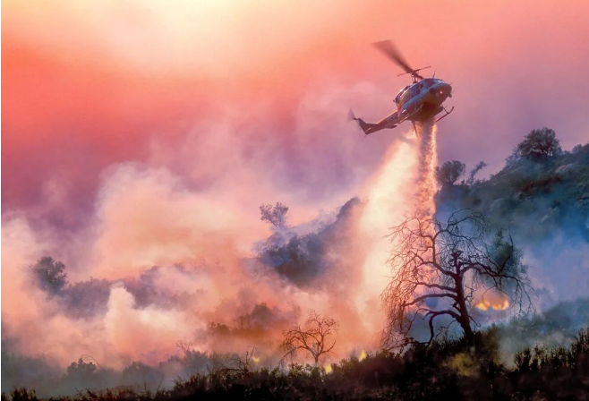 Elon Musk'tan felaket yorumu: Dünya, 6. kitlesel yok oluşun içinde - 10