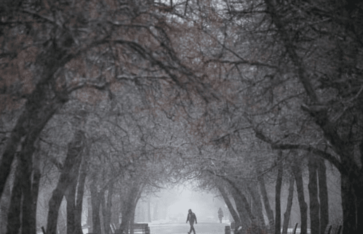 Ukrayna Devlet Başkanı Zelenski, ABD Başkanı Biden'ı Kiev'e davet etti - 5