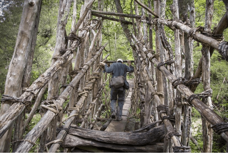 Sanal değil gerçek: 30 bin dolar verip kayboluyorsun! - 2