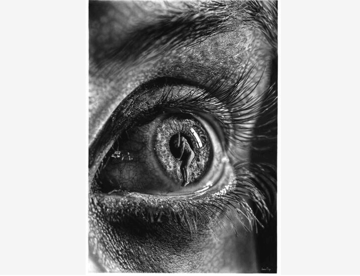 Karakalem ile inanılmaz eserler ortaya çıkarıyor - 2