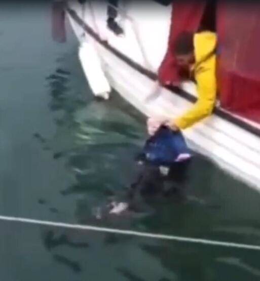 El ele tutuşup denize atlayan çifti vatandaşlar kurtardı - 4