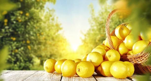 Limon kabuğu ile eklem ağrılarından kurtulun - 88525