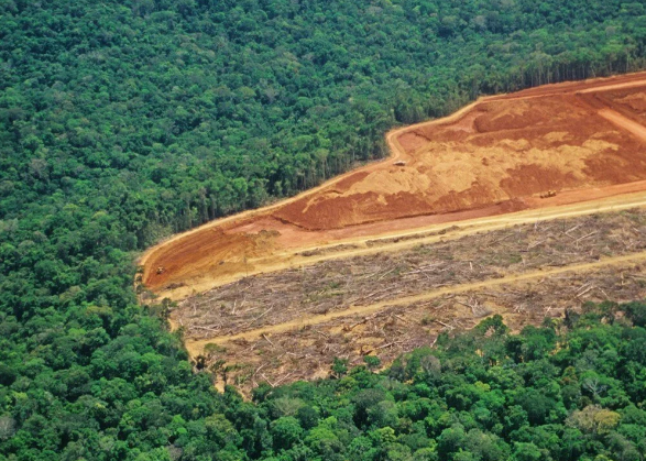 ‘Dünyanın Akciğerleri’ olarak bilinen Amazon ormanları kritik eşiğe yaklaşıyor - 6