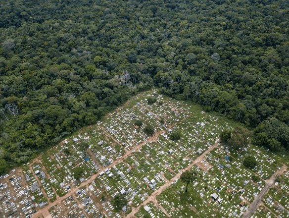 ‘Dünyanın Akciğerleri’ olarak bilinen Amazon ormanları kritik eşiğe yaklaşıyor - 5