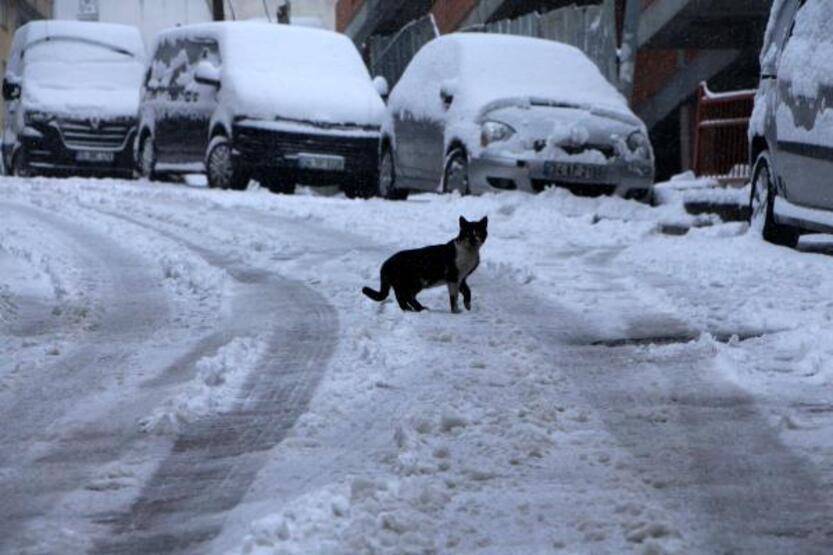 Ara sokaklardaki sürücüler ve yayaların zor anları - 6