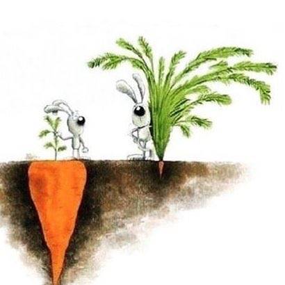 Hayatınızı Değiştirecek 21 Güçlü Fotoğraf - 88723