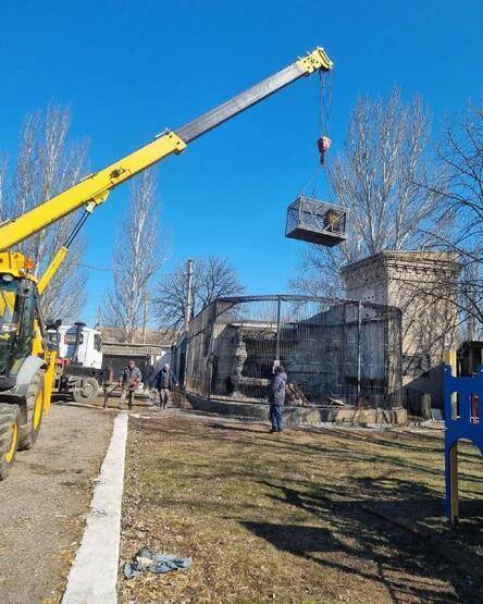 İngiliz asker Ukrayna’dan bir aslanı ve kurdu minibüsüyle çıkardı - 8