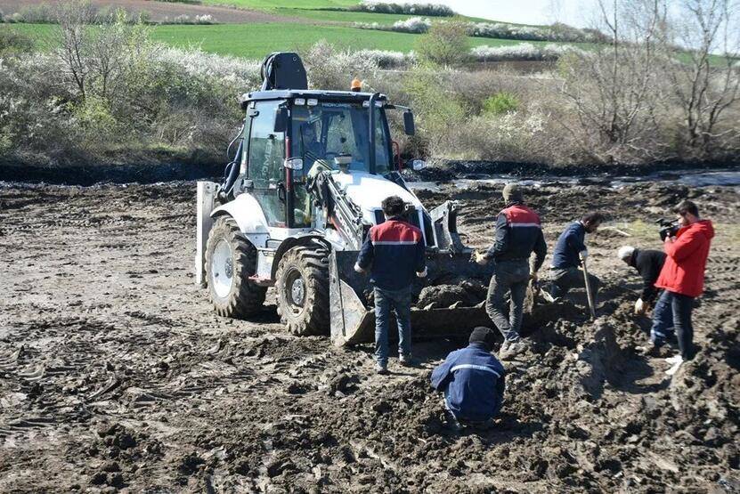 Edirne'de zift kaplı tarlalarda temizlik! Elleriyle topladılar - 4