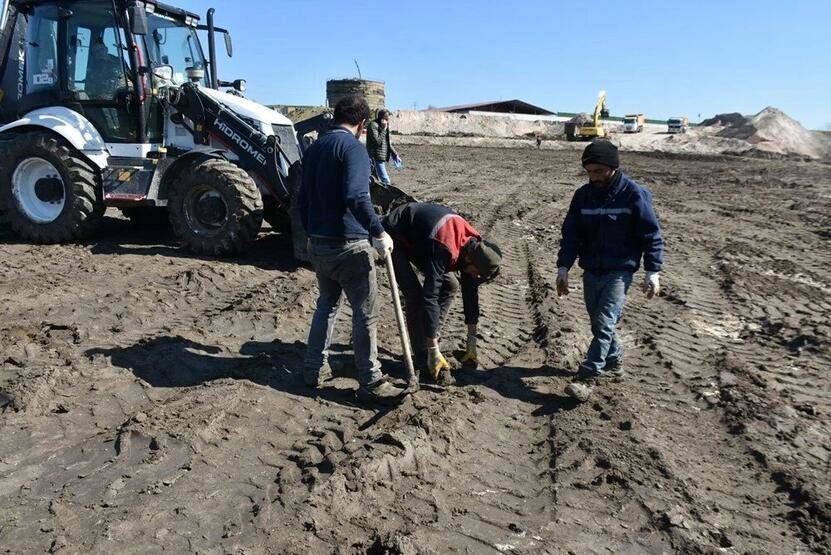 Edirne'de zift kaplı tarlalarda temizlik! Elleriyle topladılar - 7
