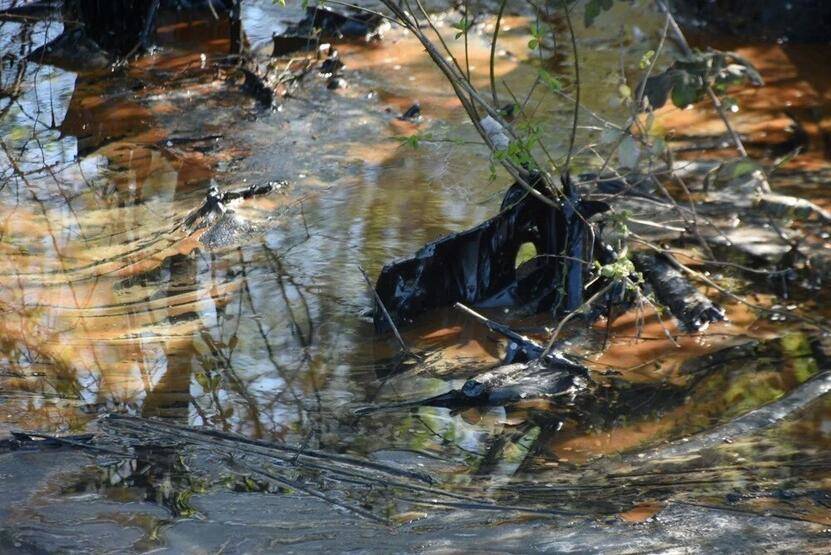 Edirne'de zift kaplı tarlalarda temizlik! Elleriyle topladılar - 9