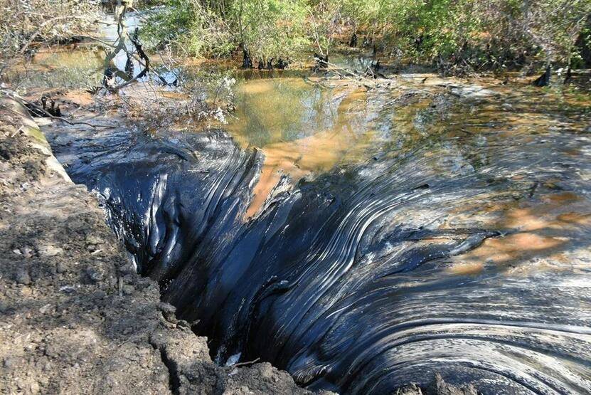 Edirne'de zift kaplı tarlalarda temizlik! Elleriyle topladılar - 5